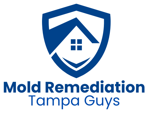 Mold Remediation Tampa Guys logo
